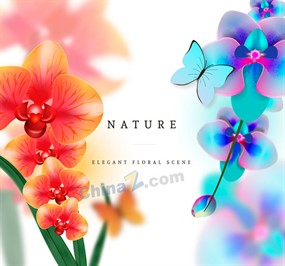 美丽蝴蝶兰和蝴蝶矢量素材